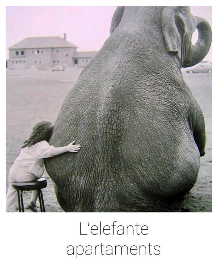 Elefante Appartamenti Pescara Dış mekan fotoğraf